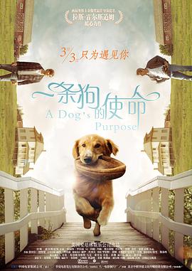 欧美色网