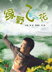 性感美丽之夜