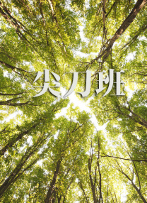 美景之屋