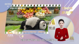 黄色一级理论片